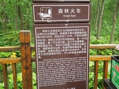 -合肥滨湖国家森林公园