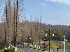 -宜兴龙背山森林公园