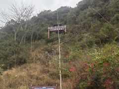 -靖西鹅泉风景区