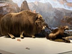 -陕西自然博物馆