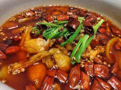 -沸腾鱼乡(知春路分店)
