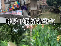 -长洲岛