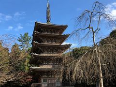 -醍醐寺