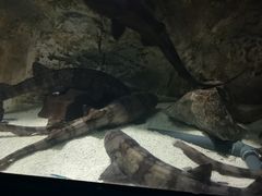 -苏州海洋馆