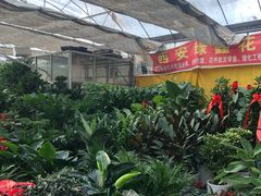 -秦美花卉(天朗·莱茵小城2期店)