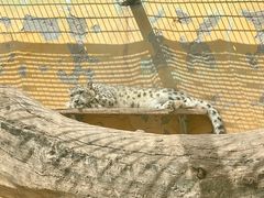 -青藏高原野生动物园