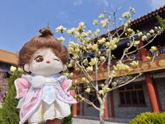 -盛世南宫影视城(北普陀影视城)