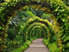 -植物园哈利亚餐厅