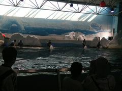 -秦皇岛乐岛海洋王国