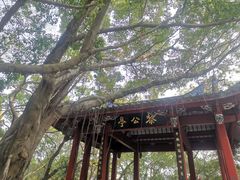 -乌山风景区
