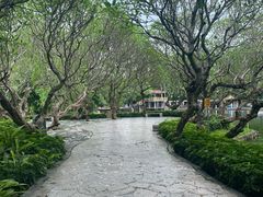 -晓港公园