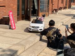 -超宠爱宠物摄影-Super pet