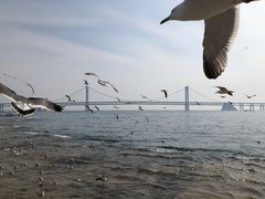 -星海广场