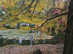 -北海道厅旧本厅舍(旧本庁舎)