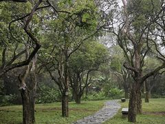 -开平碉楼文化旅游区马降龙景区