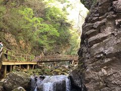 -牛背梁国家森林公园