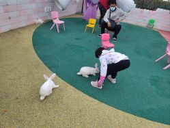 -季高兔窝窝亲子园(上海薰衣草公园店)