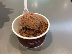 比利时巧克力品脱-哈根达斯(皇庭店)