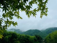 -山沟沟景区