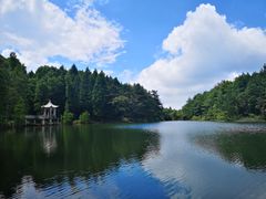 -四明山国家森林公园