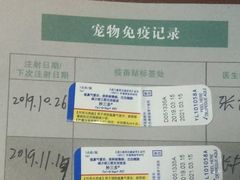 -半岛宠物医院24小时(科华中路店)
