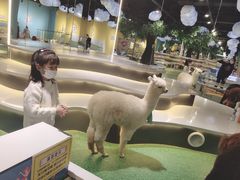 -zoonana室内动物园(东方福来德店)