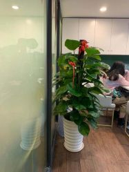 -章光101防脱养发荟
