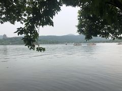 -西湖外事游船(花港观鱼码头)