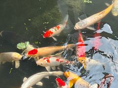 -聚福宝合苑食府(南头镇店)