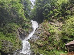 -石台牯牛降景区