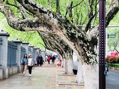 -侵华日军南京大屠杀遇难同胞纪念馆