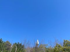-清境桃源