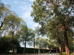 -中国移动南方基地