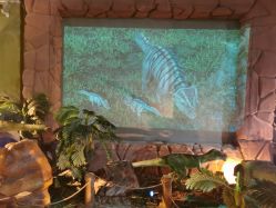 -恐龙探索乐园(磁器口店)