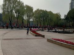 -温江公园