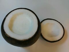 -志龙皇冠吃货椰子铺