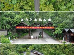 -普洱太阳河森林公园