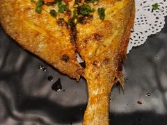 -九府羊·鲜羊火锅·烤串(新华路店)