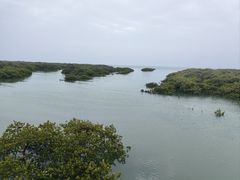 -北海金海湾红树林生态旅游区