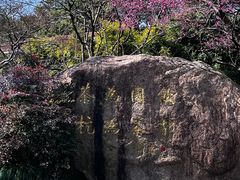 -中国茶叶博物馆(双峰馆区)