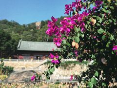 -石峰岩寺