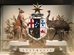 -墨尔本博物馆(Melbourne Museum)