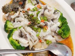 清蒸龙胆鱼-南海渔村(火炬园店)