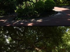 -狐尾山公园