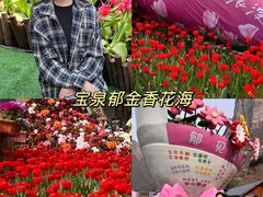 -河南宝泉旅游区