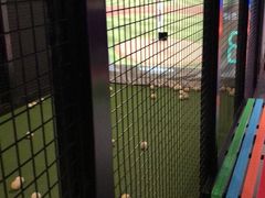 -VS SPORTS PARK运动玩乐园·团建·生日会(合生汇店)