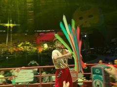 -俄罗斯国家大马戏团