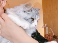 -猫腻·猫咖·撸猫馆(星光大道店)