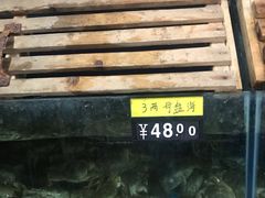 -御手国医·古法经络调理(光华店)