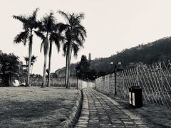 -南沙蒲洲花园